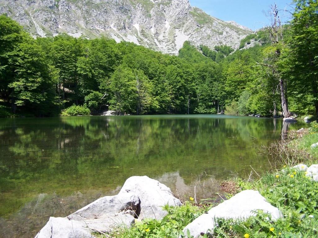 Boutique Luxury Chalet 1450 Ξενοδοχείο Καστοριά Εξωτερικό φωτογραφία